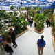 Image for article titled Insectarium CEO Says $50,000 Bug Heist Was an Inside Job